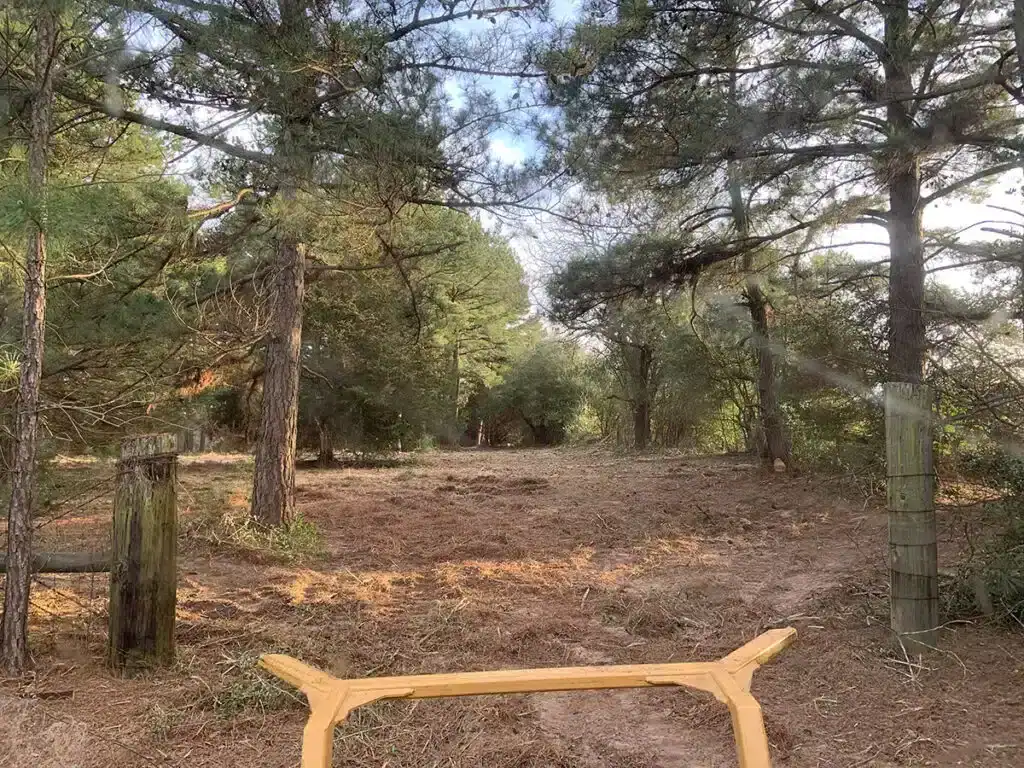 Diamond Mowers Pro X skid steer disc mulcher finished clearing area showing clean cut results and land clearing performance