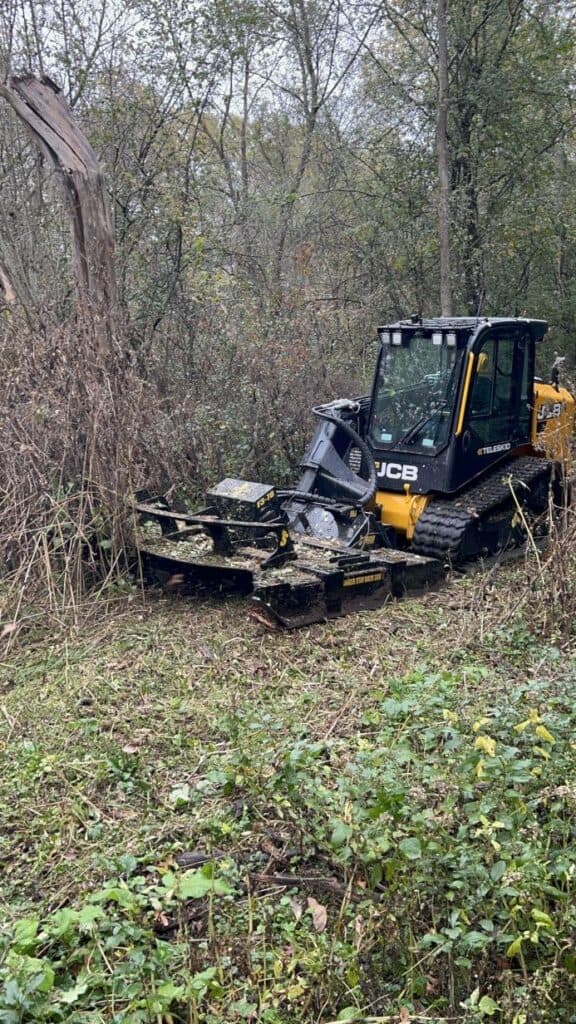 Stinger Twister F3 skid steer brush cutter clearing dense wooded brush