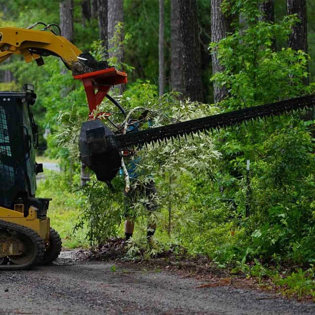 Eterra skid steer sickle bar mower on a Caterpillar compact track loader cutting leafy brush in a wooded area