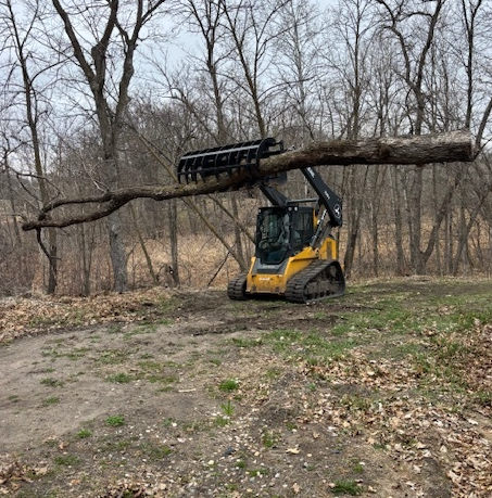 Skid steer lifting a fallen tree with a Prime Attachments HD Clam Grapple in a wooded area